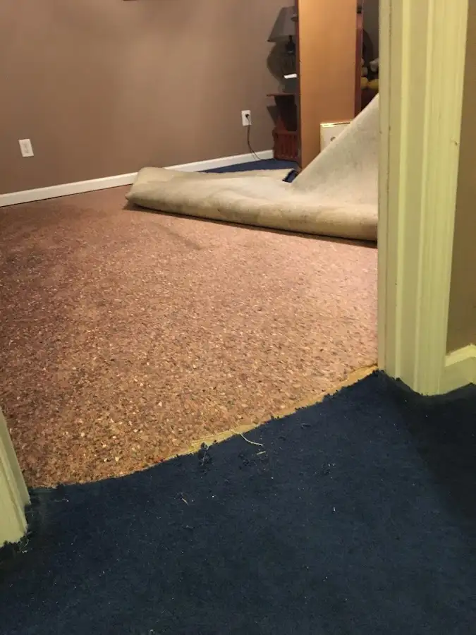 Carpet pad removal revealing water damage during Drying & Dehumidification in Middle River
