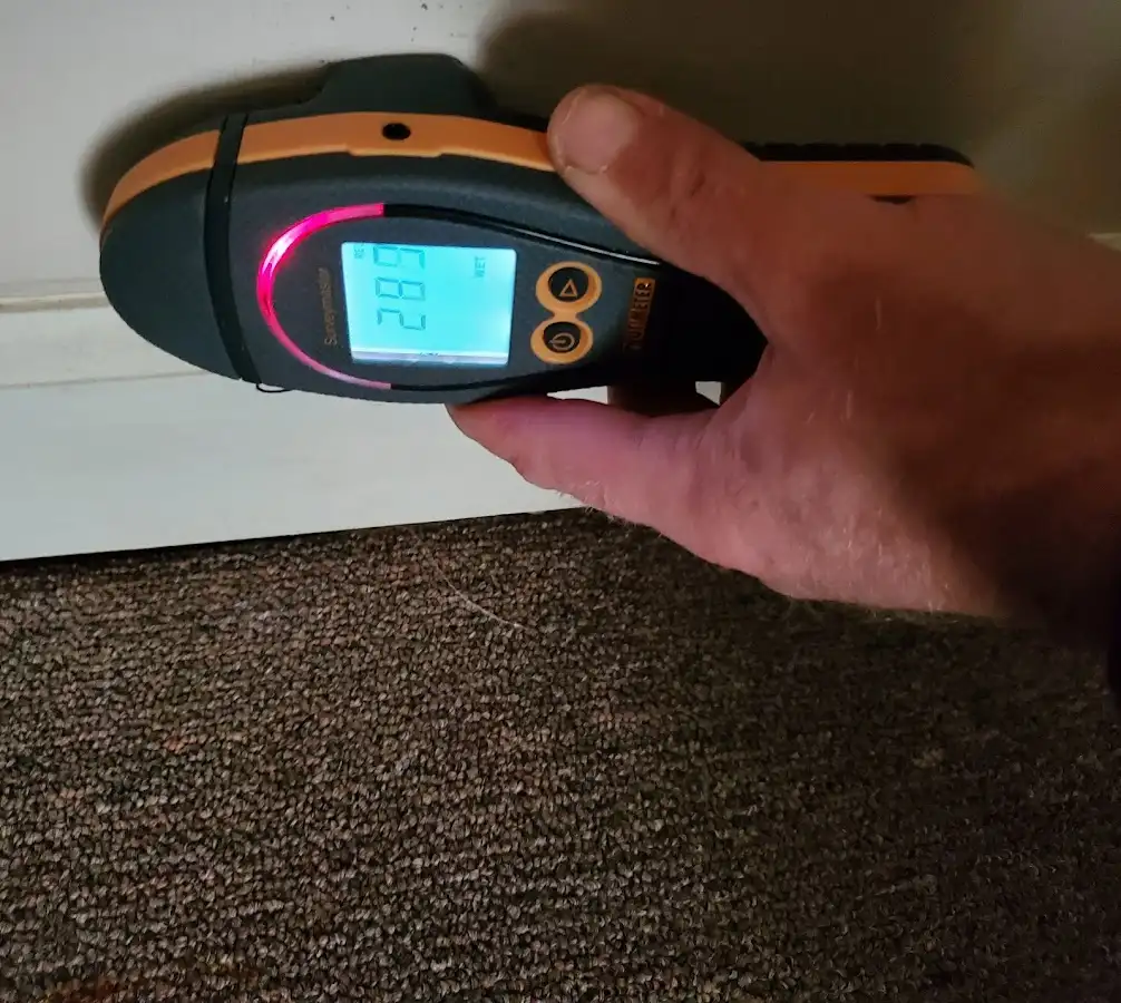 Moisture detection at baseboard during Mold Inspection & Testing in Middle River